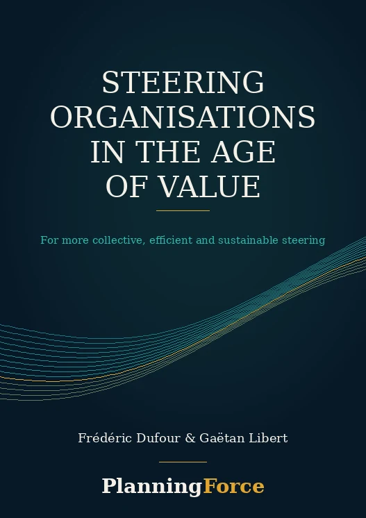 Cover of the book Steering organisations in the age of value